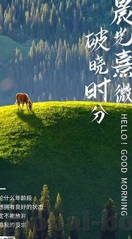91麻豆磁力-先进文化消费时代下的多元选择，论91麻豆磁力链接的启示与风险