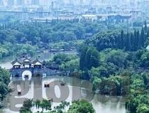 91麻豆国产福利在线-在线91麻豆国产福利的独特魅力与文化探索