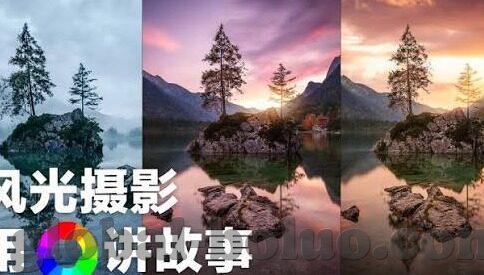 八妻子大象传媒视频-八妻子与大象传媒，文化与现实的交织