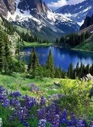 成人高考课程视频-成人高考课程视频，自学新时代的桥梁