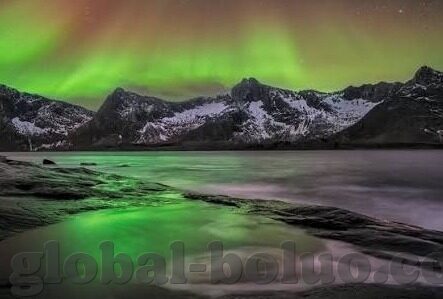 成人在线黄色视频-成人在线黄色视频，网络时代的隐秘与挑战