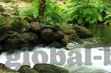 国产av一区二区-国产AV一区二区，文化现象与市场观察