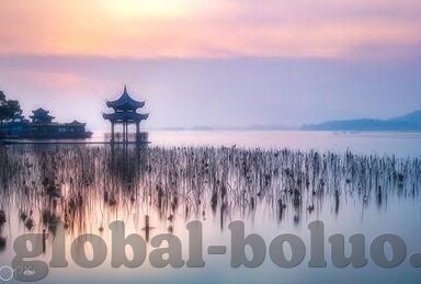 国产丝袜一区二区三区-国产丝袜，从一区到三区的多样选择与市场观察