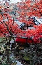 凌辱人妻温泉动漫-凌辱人妻，温泉动漫中的灰色地带